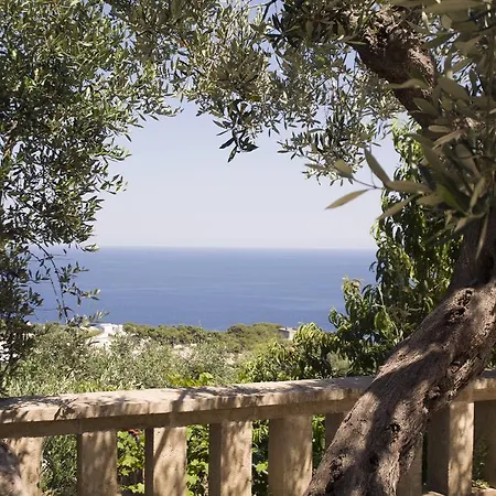 Le Terrazze Pool Villa Gagliano del Capo