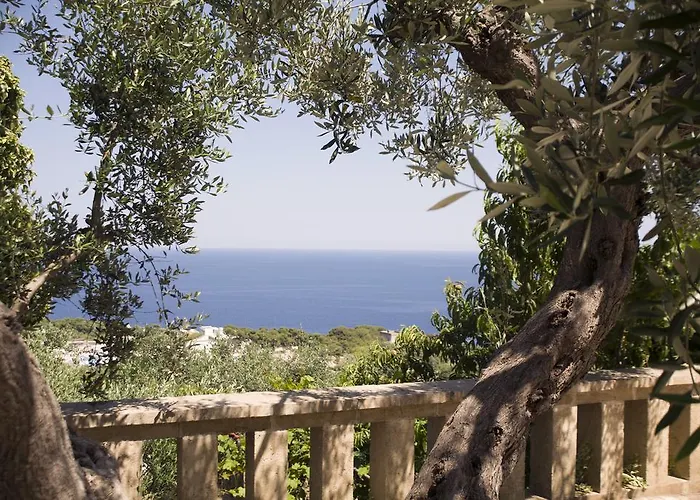 Le Terrazze Pool וילה גאליאנו דל קאפו